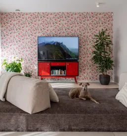 Affordable apartment renovation Croatia