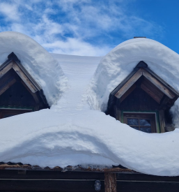 Lepa planšarija Logarska dolina