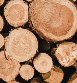 Großhandel mit Holz