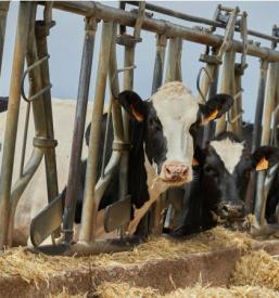 Spletna trgovina s kmetijsko opremo in mehanizacijo