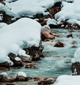 Dober poročni fotograf Slovenija
