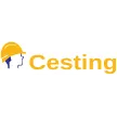 Cesting