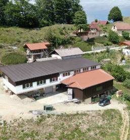 Mednarodni transport in logistika Starše