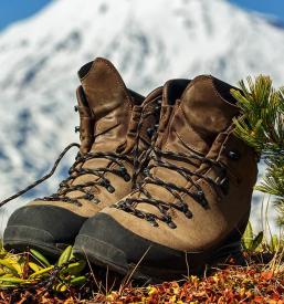 Veleprodaja usnja za čevlje