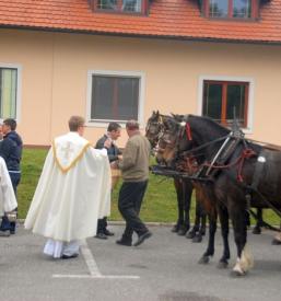 Blagoslov konj Gorenjska