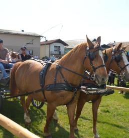 best tourist places to visit