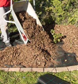 Urejanje okolice Ljubljana, okolica