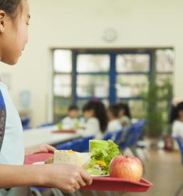 Tečaj o prehrani za vrtce in šole Slovenija