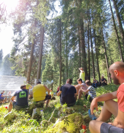 Paša konj na Gorenjskem