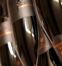 Obisk vinske kleti in degustacija vin Dolenjska