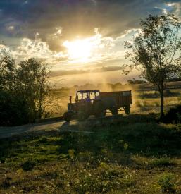 Kvalitetne storitve z gozdarsko mehanizacijo Posavje