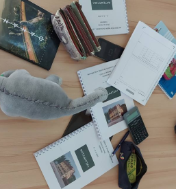 Dobra Gimnazija Moste Ljubljana