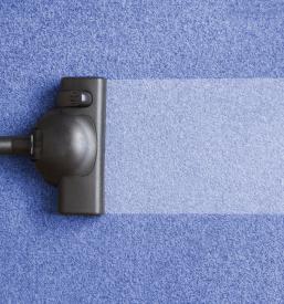 Ugodno čiščenje Nova Gorica