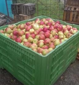 Jabolčno žganje Podravska, Štajerska