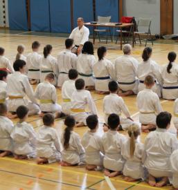 Tečaj sankukai karateja Osrednja Slovenija