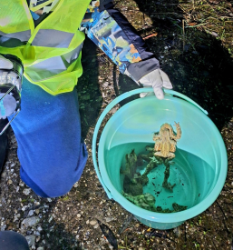 Alpe Adria Green društvo za varstvo okolja in narave