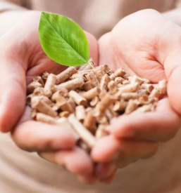 Günstiger Pelletgroßhandel Slowenien