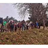 Mihelčičev dom na Govejku