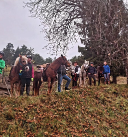 Planinski dom za prespat Medvode, Osrednja Slovenija
