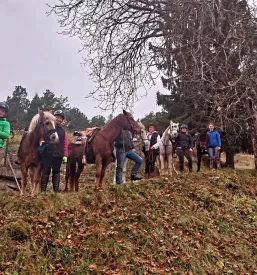 Planinski dom za prespat Medvode, Osrednja Slovenija