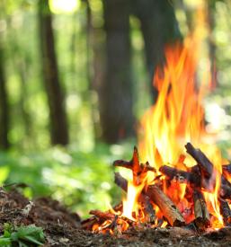 Trening nogometa za otroke Brda