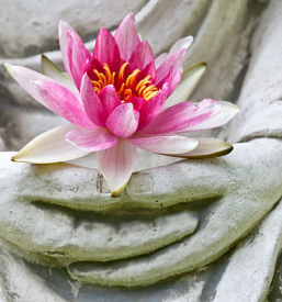 Kraniosakralna terapija Gorenjska