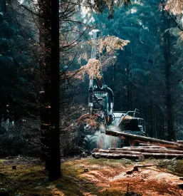 Spravilo lesa Posavje, Slovenija