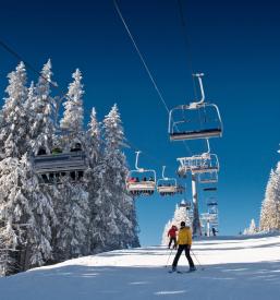 Dober učitelj smučanja Novo mesto