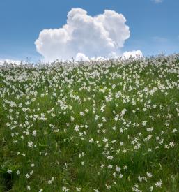 Poceni turistično vodenje Gorenjska