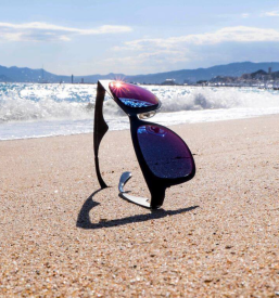 Obisk optike Sežana