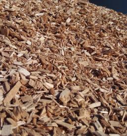 Zbiranje odpadkov Radeče