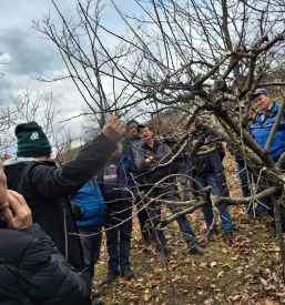 Delavnice in degustacije vin Dolenjska - D. V. Lisec Dobrnič