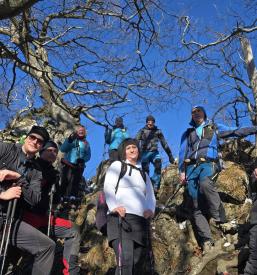 Vpis v PD Ptuj, Podravje