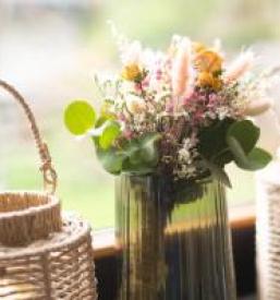 Lepa družinska apartmaja Rateče pri Kranjski Gori