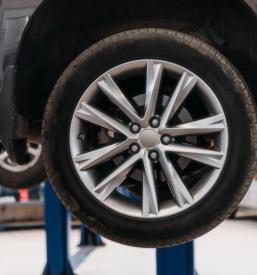 Ugodna menjava gum Savinjska