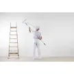 Ado-Paint, Admir Mujanović s.p.