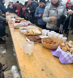 Delavnice in degustacije vin Dolenjska