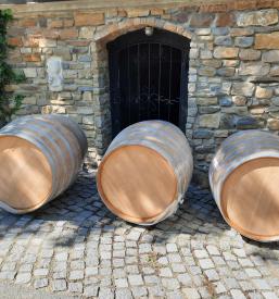 Odlična turistična kmetija Štajerska