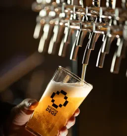 Slovensko craft pivo