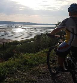 Ugodna izposoja koles Obala