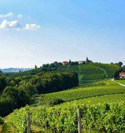 Lokalna kulinarika Štajerska