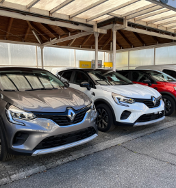 Servis in prodaja vozil Renault Škocjan, Dolenjska