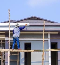 Barvanje napušča Krško, Brežice