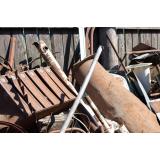 Helena Brezovnik s.p.