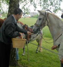 Blagoslov konj Šenčur, na Gorenjskem