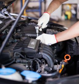 Kvaliteten servis motornih vozil in obnova motorjev Šentjanž