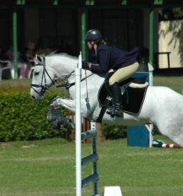 Nutrition for sport horses Europe