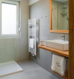 Affordable apartment Tolmin