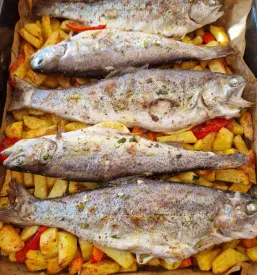 Sveže postrvi Koroška