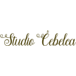 Studio Čebelca